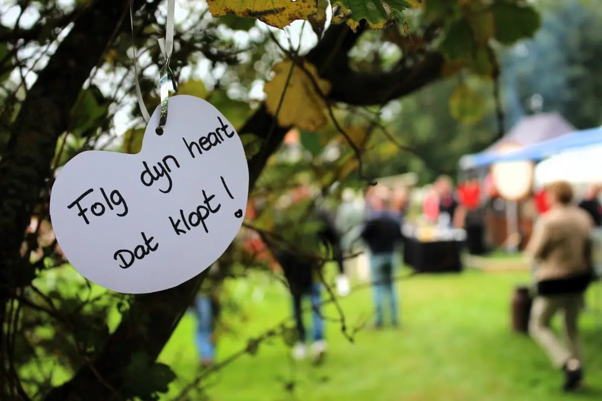 Grutsk Fair 2025 op Camping Jantina Hoeve — foto 2