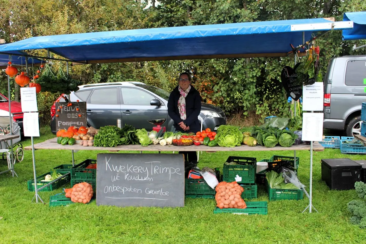 Grutsk Fair 2025 op Camping Jantina Hoeve — foto 5