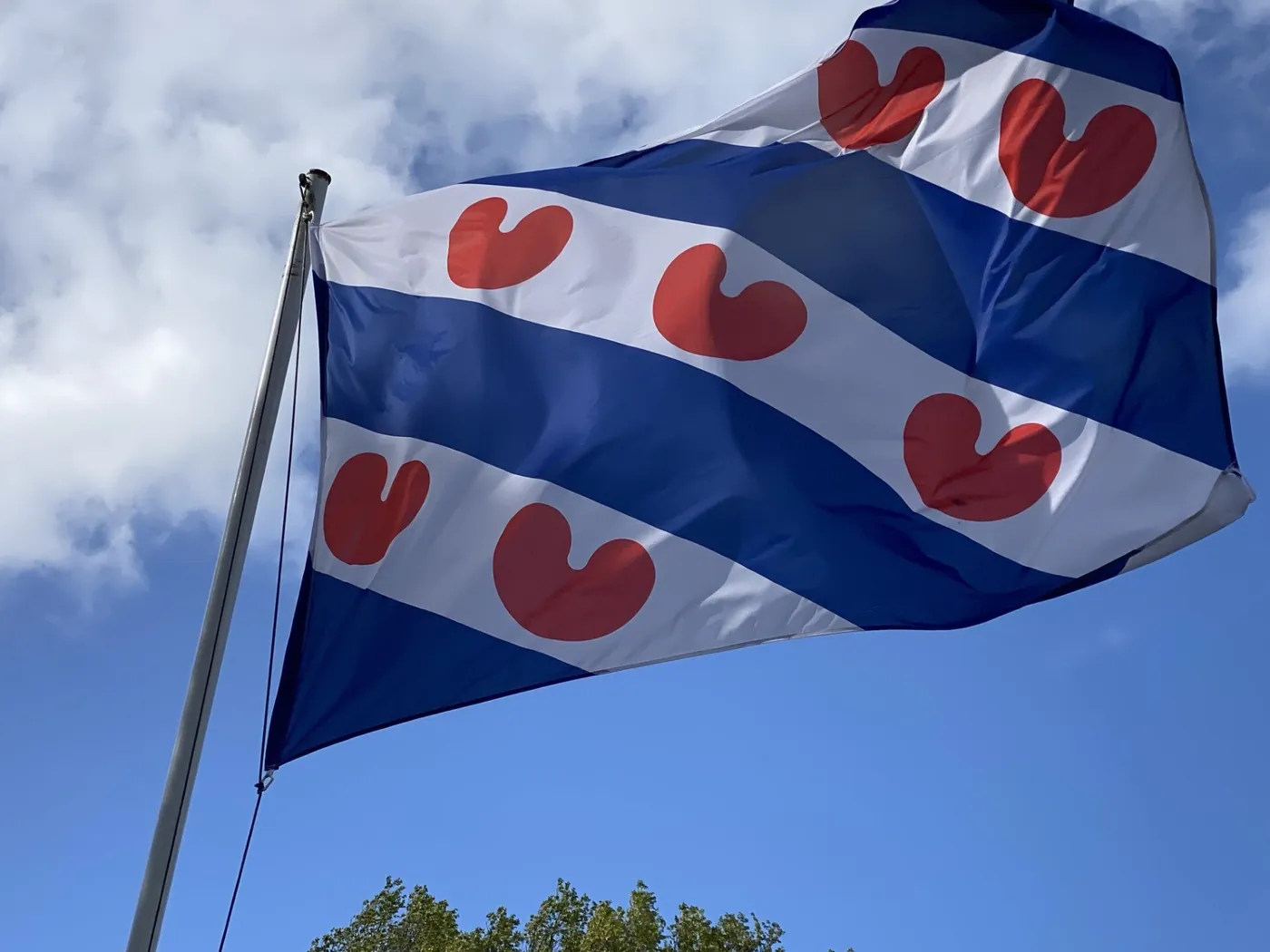 De Fryske flagge mei pompeblêden waait tsjin in blauwe loft
